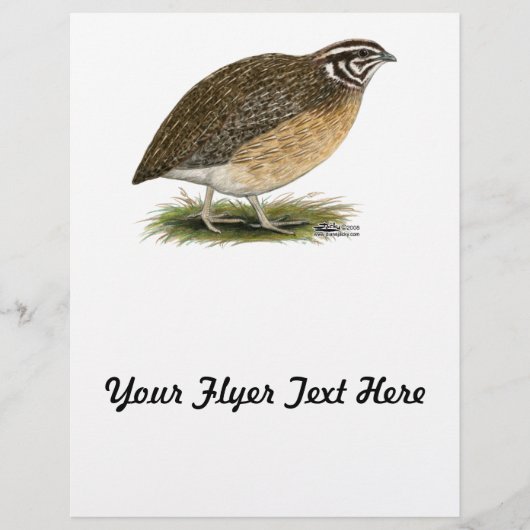 コトルニックスファラオウワイル チラシ (正面)