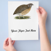 コトルニックスファラオウワイル チラシ (手)