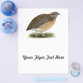 コトルニックスファラオウワイル チラシ (シングル)