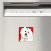 コトンカラーブロック マグネット (インサイチュ (食洗機))