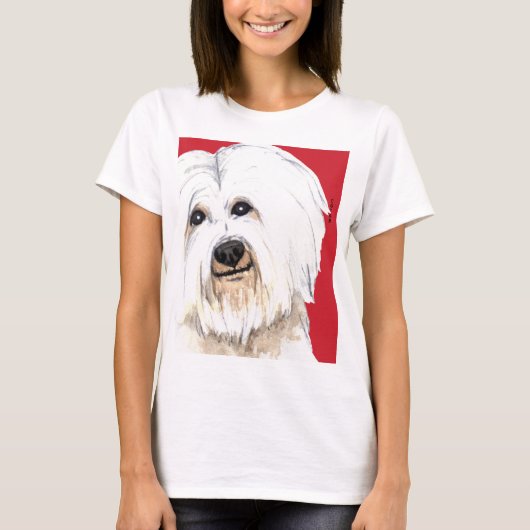 コトンカラーブロック Tシャツ (正面)