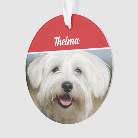 コトンデチュラエ名写真ホリデークリスマス オーナメント (正面)