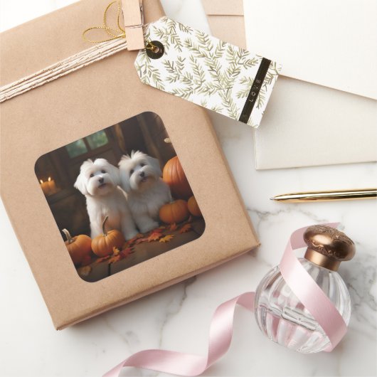 コトンデチュラヤパピーオータムデライトカボチャ スクエアシール (ギフト)