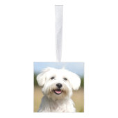 コトンデチュリードッグ2フォトクリスマスホリデー キューブオーナメント (右)