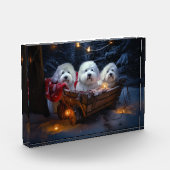 コトンデトゥルイヤースワイクリスマスデコール フォトブロック (左)