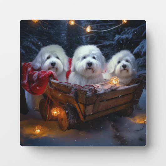 コトンデトゥルイヤースワイクリスマスデコール フォトプラーク (正面)