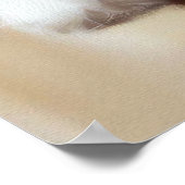 コトンドチュリードッグ ポスター (角)