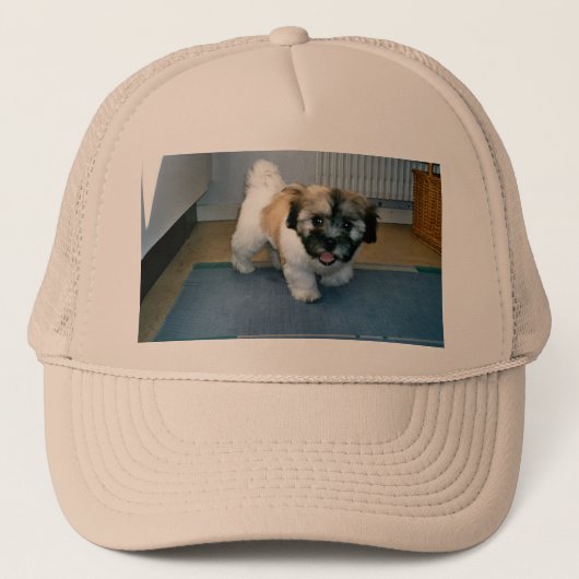 コトンパピー2.png キャップ (正面)