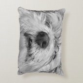 コトン・ド・チュラードッグ アクセントクッション (裏面(縦))