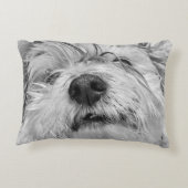 コトン・ド・チュラードッグ アクセントクッション (裏面)