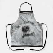 コトン・ド・チュラードッグ エプロン (正面)