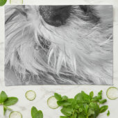 コトン・ド・チュラードッグ キッチンタオル (折り畳み)