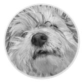 コトン・ド・チュラードッグ セラミックノブ (正面)