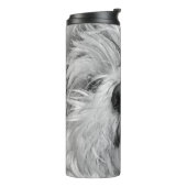 コトン・ド・チュラードッグ タンブラー (回転左)