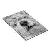 コトン・ド・チュラードッグ ノートブック (右側)