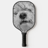 コトン・ド・チュラードッグ ピックルボールラケット (正面)