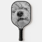 コトン・ド・チュラードッグ ピックルボールラケット (裏面)