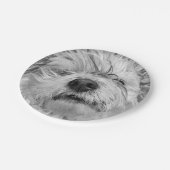 コトン・ド・チュラードッグ ペーパープレート (アングル)