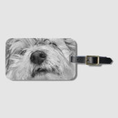 コトン・ド・チュラードッグ ラゲッジタグ (正面横)