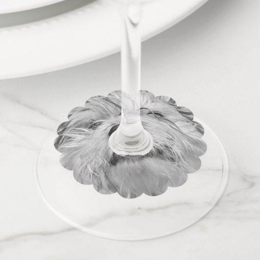 コトン・ド・チュラードッグ ワイングラスタグ (クローズアップ)