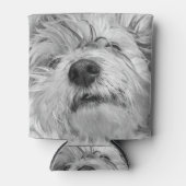 コトン・ド・チュラードッグ 缶クーラー (正面)