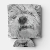 コトン・ド・チュラードッグ 缶クーラー (裏面)