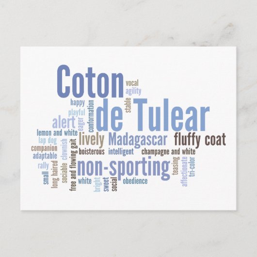 コトン・ド・チュラー ポストカード (正面)