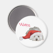 コトン・ド・チュレアール - 待っています マグネット (正面/裏面)