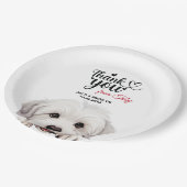 コトン・ド・チュレア犬の結婚披露宴 ペーパープレート (アングル)