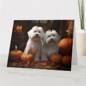 コトン・ド・トゥレアールの子犬 オータムデライト パンプキン カード (正面)