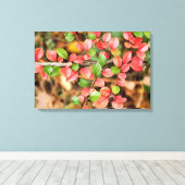 コトーンイースター水平 キャンバスプリント (インサイチュ (ウッドフロア))