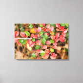 コトーンイースター水平 キャンバスプリント (正面)