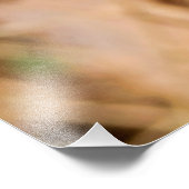 コトーンイースター水平 フォトプリント            (角)