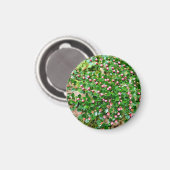 コトーンイースター水平 マグネット (正面/裏面)