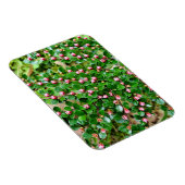 コトーンイースター水平 マグネット (右側)