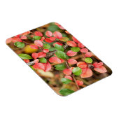 コトーンイースター水平 マグネット (右側)