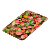 コトーンイースター水平 マグネット (左側)