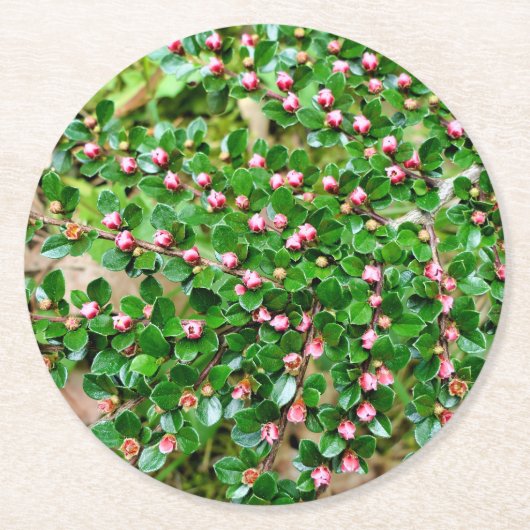 コトーンイースター水平 ラウンドペーパーコースター (正面)