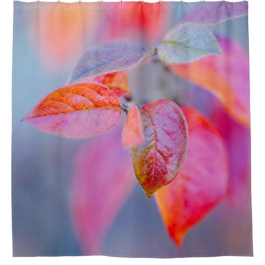 コト威厳のあるン葉イースター シャワーカーテン (正面)