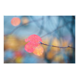 コト素晴らしン葉イースター フォトプリント           