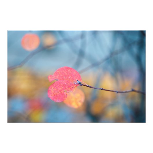 コト素晴らしン葉イースター フォトプリント            (正面)