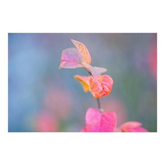 コト素晴らしン葉イースター フォトプリント (正面)