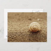 コドモ | Botany Bay ポストカード (正面/裏面)