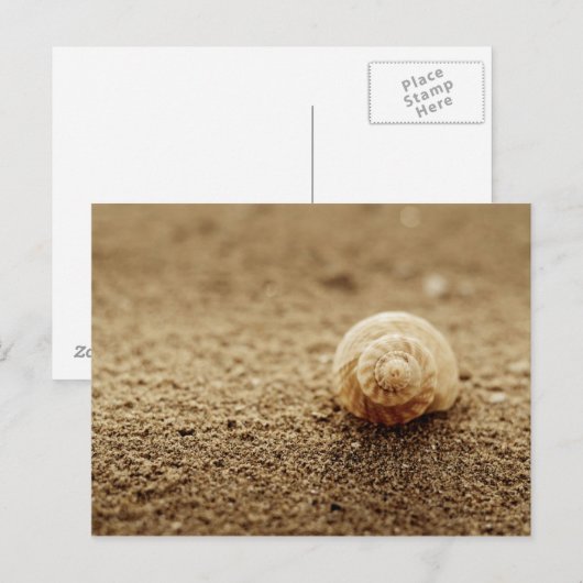 コドモ | Botany Bay ポストカード (正面/裏面)