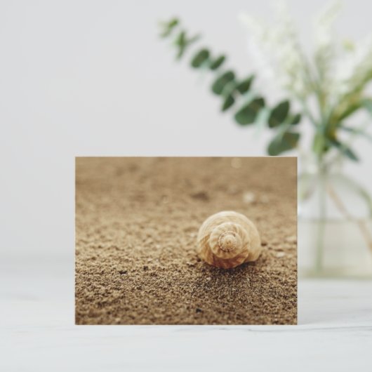 コドモ | Botany Bay ポストカード (スタンド正面)