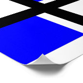 コドリアン ポスター (角)