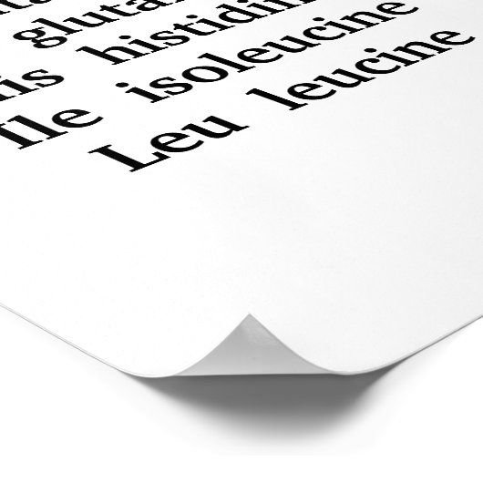 コドン ポスター (角)