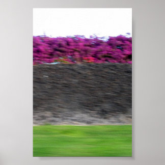 コナカラー ポスター