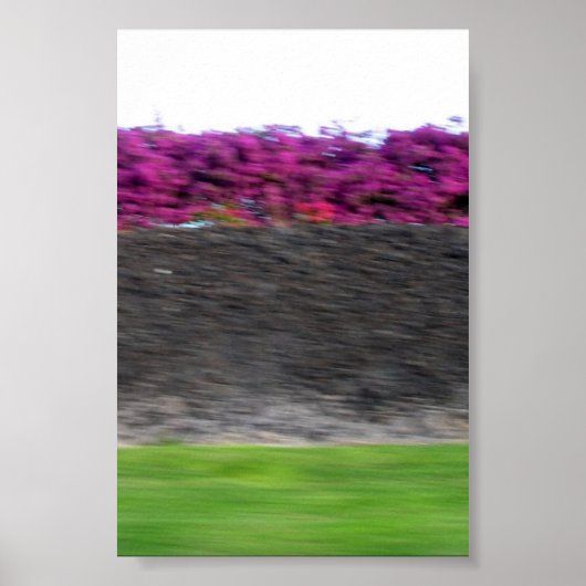 コナカラー ポスター (正面)