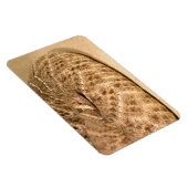 コナガガラガラヘビ マグネット (右側)